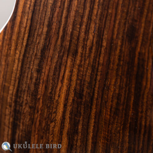 Asturias Solo Rosewood 13028