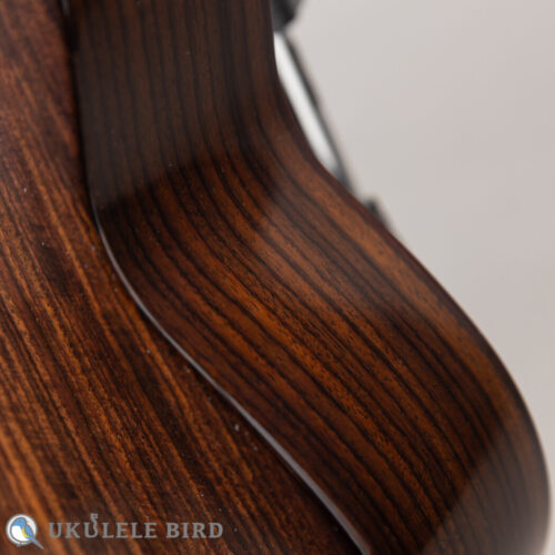 Asturias Solo Rosewood 13028