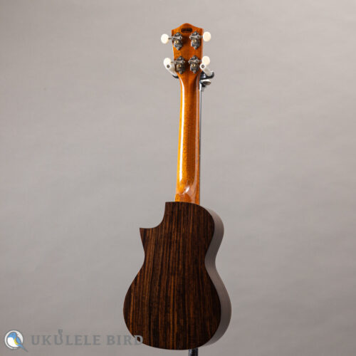 Asturias Solo Rosewood 13028