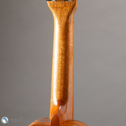 Kelii S-BM Soprano