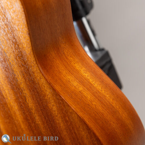 Kelii S-BM Soprano