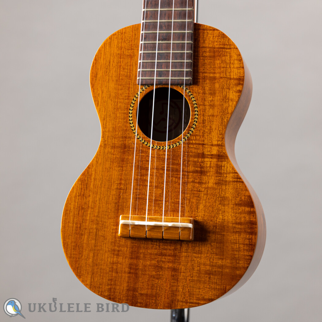Famous FLS-2G
