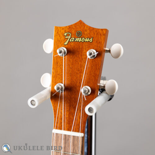 Famous FC-1G 