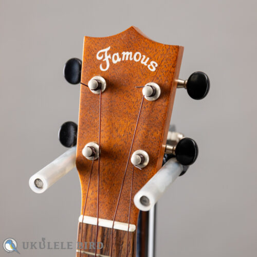Famous FS-210