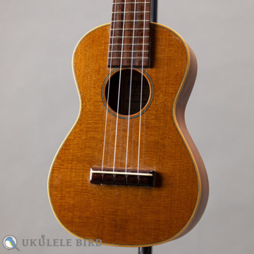 ASTURIAS Tiny Concert Vintage C  