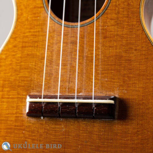 ASTURIAS Tiny Concert Vintage C  
