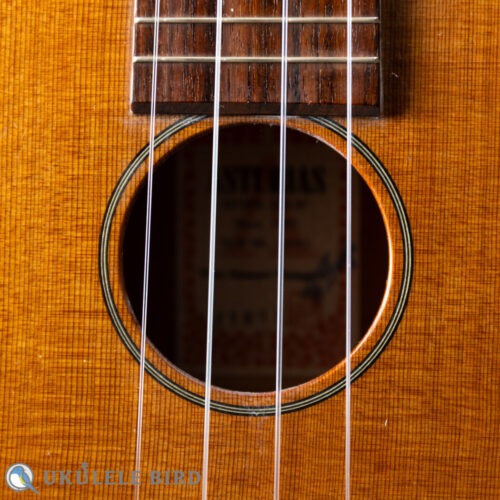 ASTURIAS Tiny Concert Vintage C  