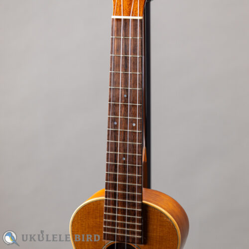 ASTURIAS Tiny Concert Vintage C  
