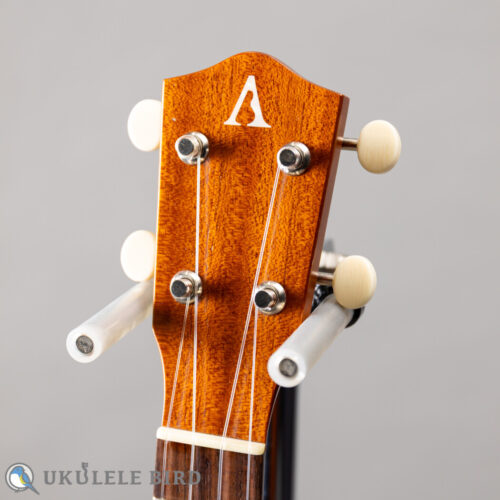 ASTURIAS Tiny Concert Vintage C  