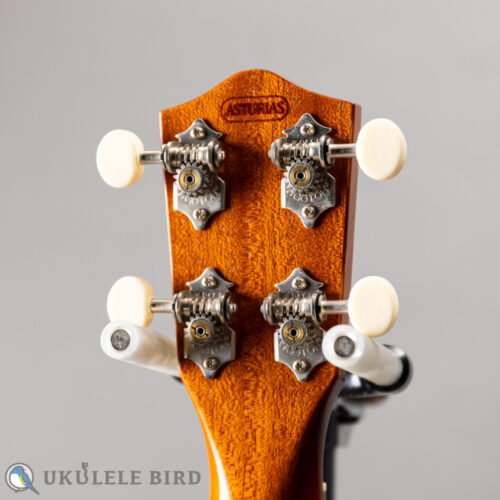 ASTURIAS Tiny Concert Vintage C  