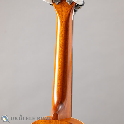 ASTURIAS Tiny Concert Vintage C  