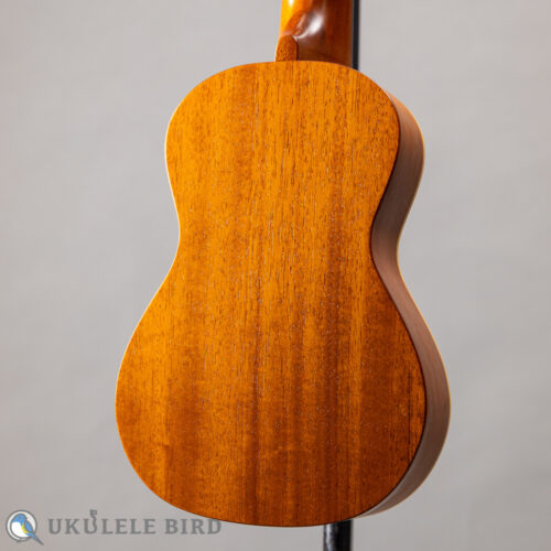 ASTURIAS Tiny Concert Vintage C  
