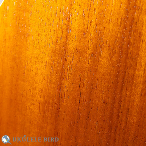 ASTURIAS Tiny Concert Vintage C  