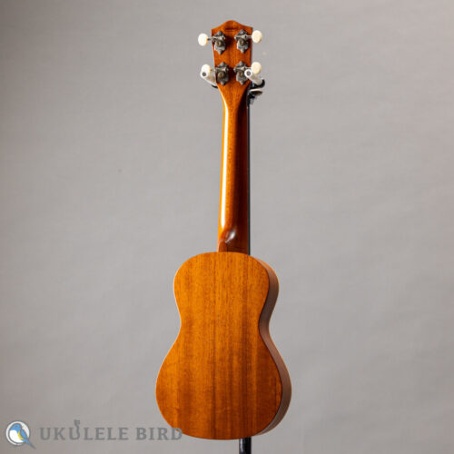 ASTURIAS Tiny Concert Vintage C  