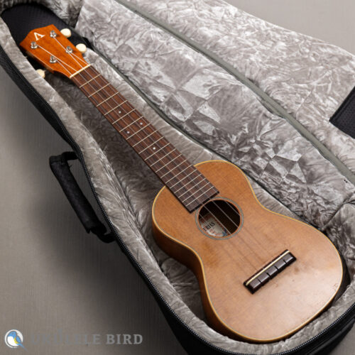 ASTURIAS Tiny Concert Vintage C  