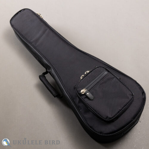 ASTURIAS Tiny Concert Vintage C  