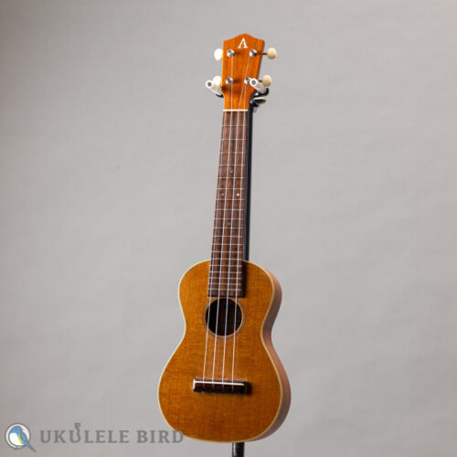 ASTURIAS Tiny Concert Vintage C  