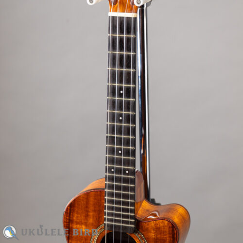 Furubayashi F's uke　KT-02CW   2022