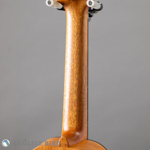 HAMAGEN S-018 Soprano 