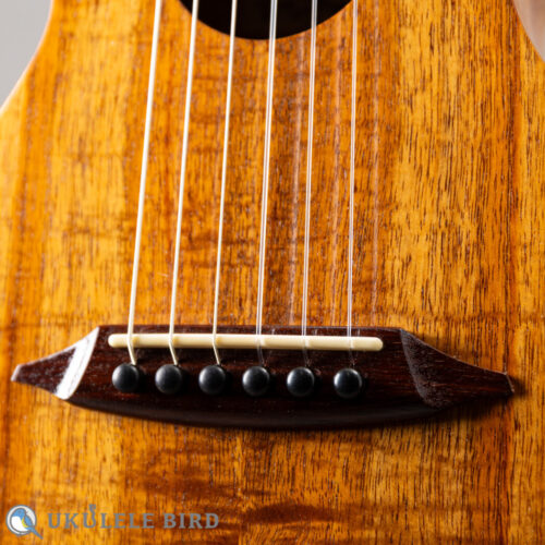 SH Guitars UGS-5012   2012