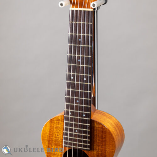 SH Guitars UGS-5012   2012