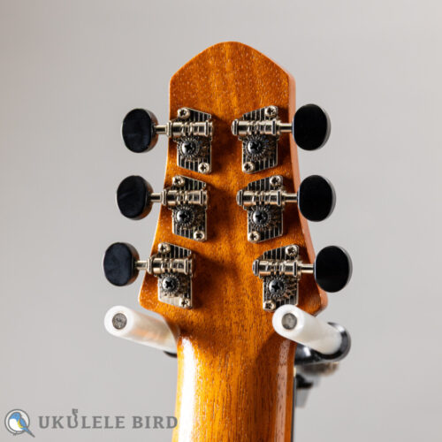 SH Guitars UGS-5012   2012