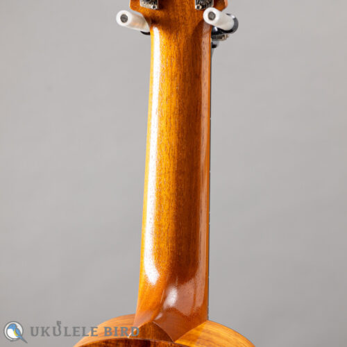 SH Guitars UGS-5012   2012