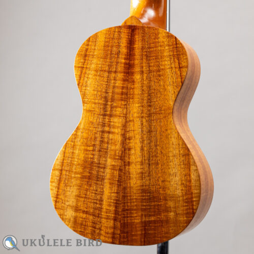 SH Guitars UGS-5012   2012