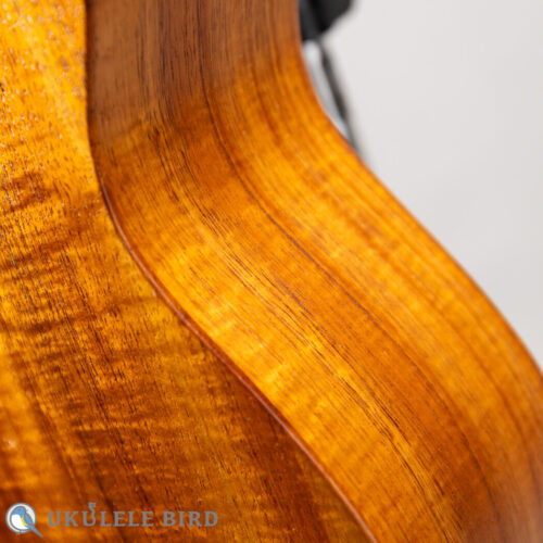 SH Guitars UGS-5012   2012