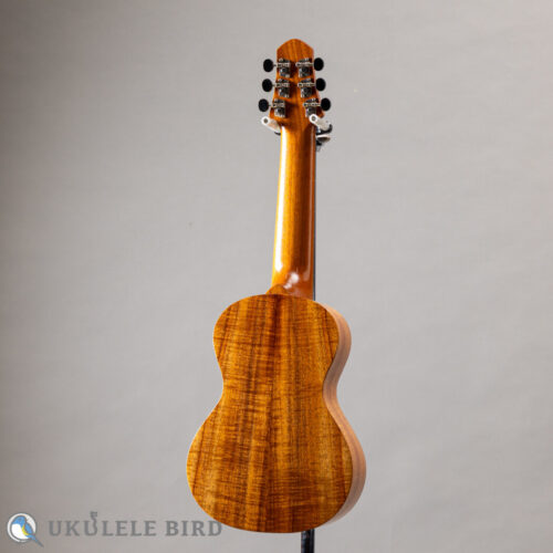 SH Guitars UGS-5012   2012