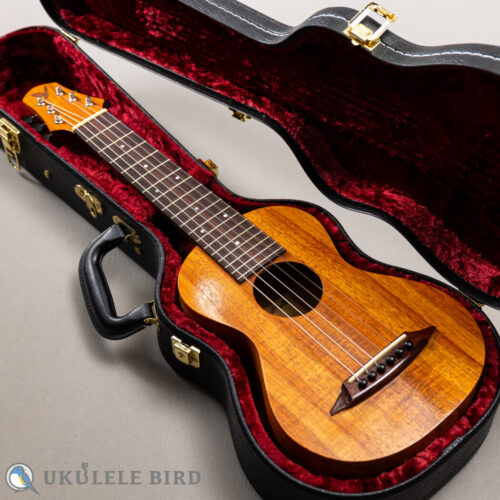 SH Guitars UGS-5012   2012