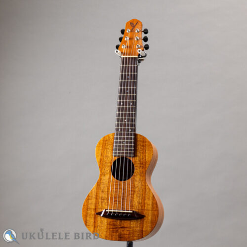 SH Guitars UGS-5012   2012