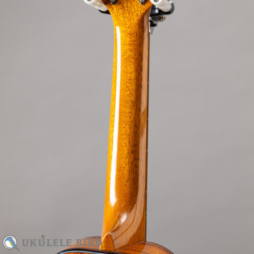 Truth  THC-2403 Rose Binding