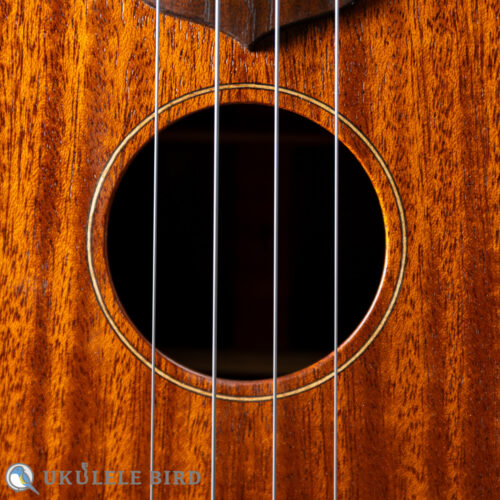da h（ダ・アッカ）ukulele tenor 13f std. slotted head
