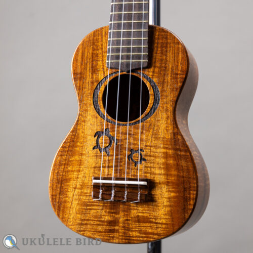 G String M1 Tattoo Honu