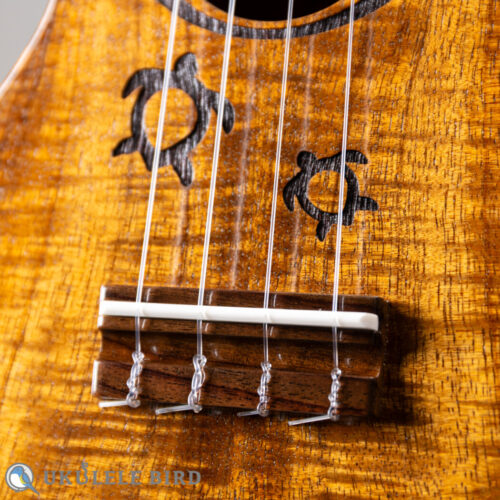 G String M1 Tattoo Honu