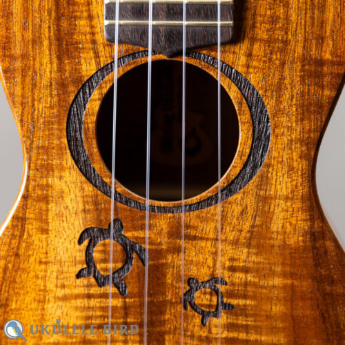 G String M1 Tattoo Honu