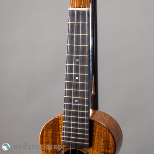 G String M1 Tattoo Honu