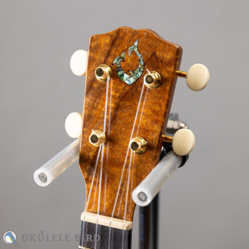 G String M1 Tattoo Honu
