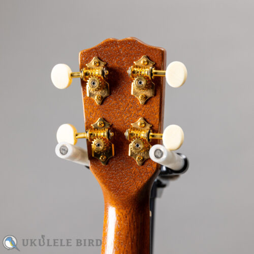 G String M1 Tattoo Honu