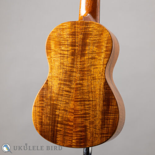G String M1 Tattoo Honu