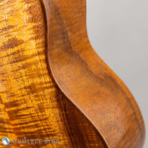 G String M1 Tattoo Honu