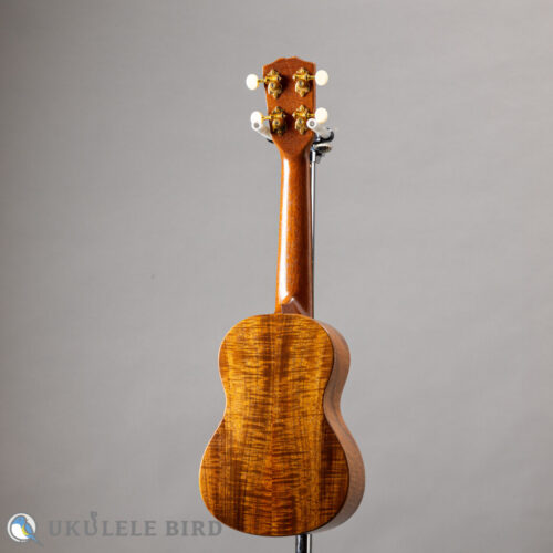 G String M1 Tattoo Honu