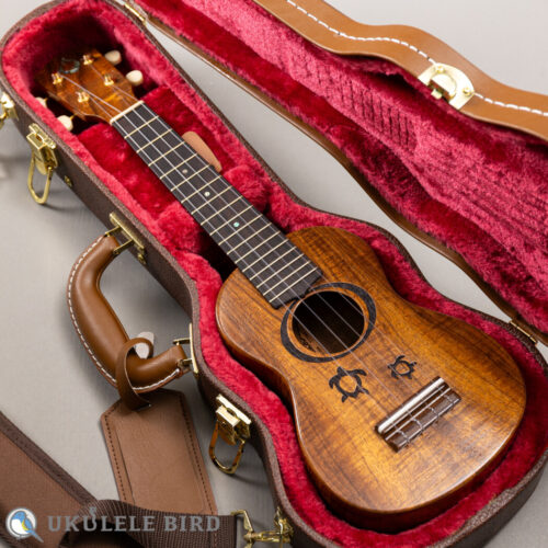 G String M1 Tattoo Honu