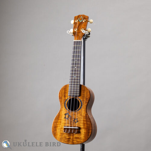 G String M1 Tattoo Honu