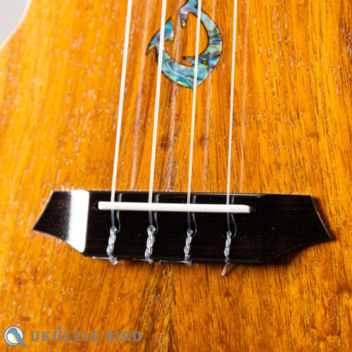 G String T4 Double Hole