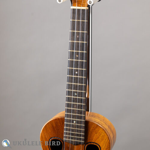 G String T4 Double Hole