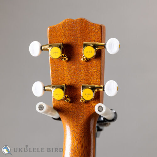 G String T4 Double Hole