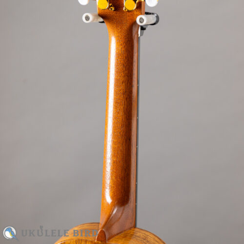 G String T4 Double Hole