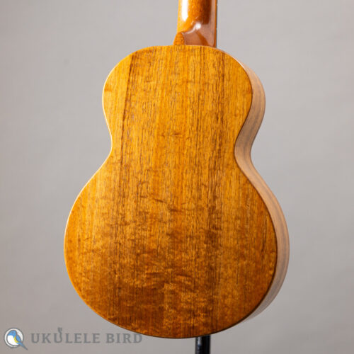 G String T4 Double Hole